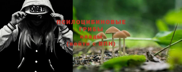 таблы Нея