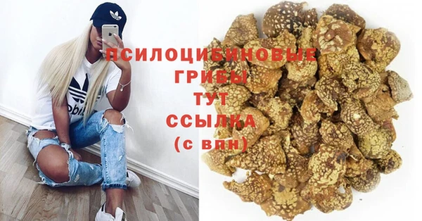 стафф Нефтегорск