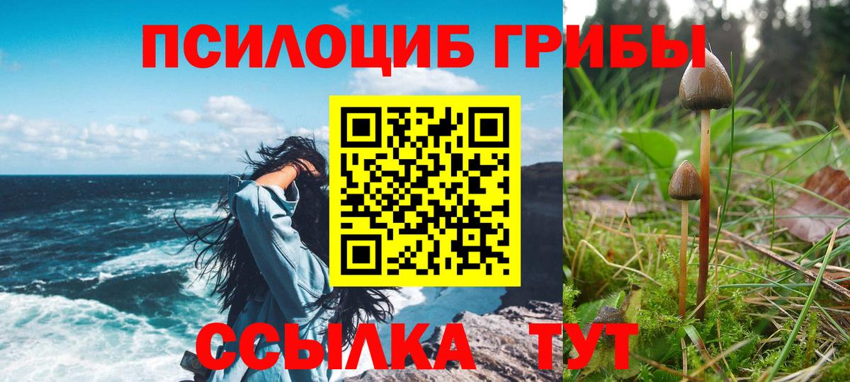 Псилоцибиновые грибы Cubensis  Уссурийск 