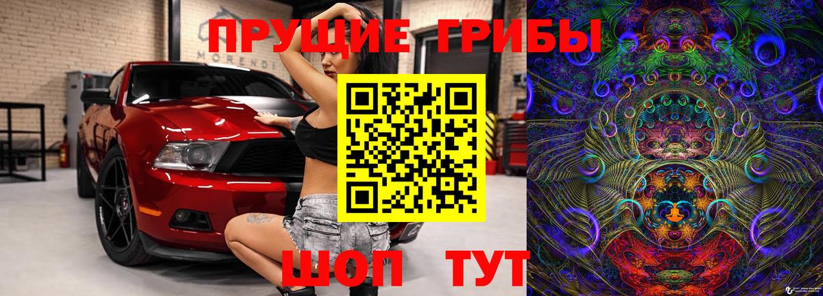 купить наркоту  Галлюциногенные грибы мицелий  Псилоцибиновые грибы GOLDEN TEACHER  Вход с VPN  Уссурийск 
